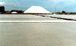 Saltpans